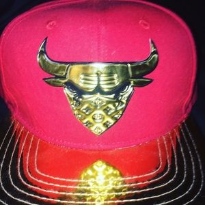 Chicago bull with mask hat.